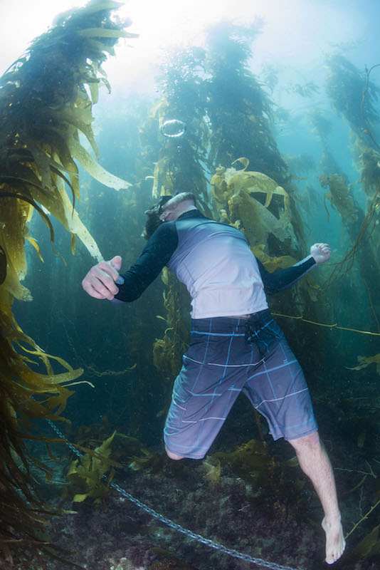 Freediving in the kelp.